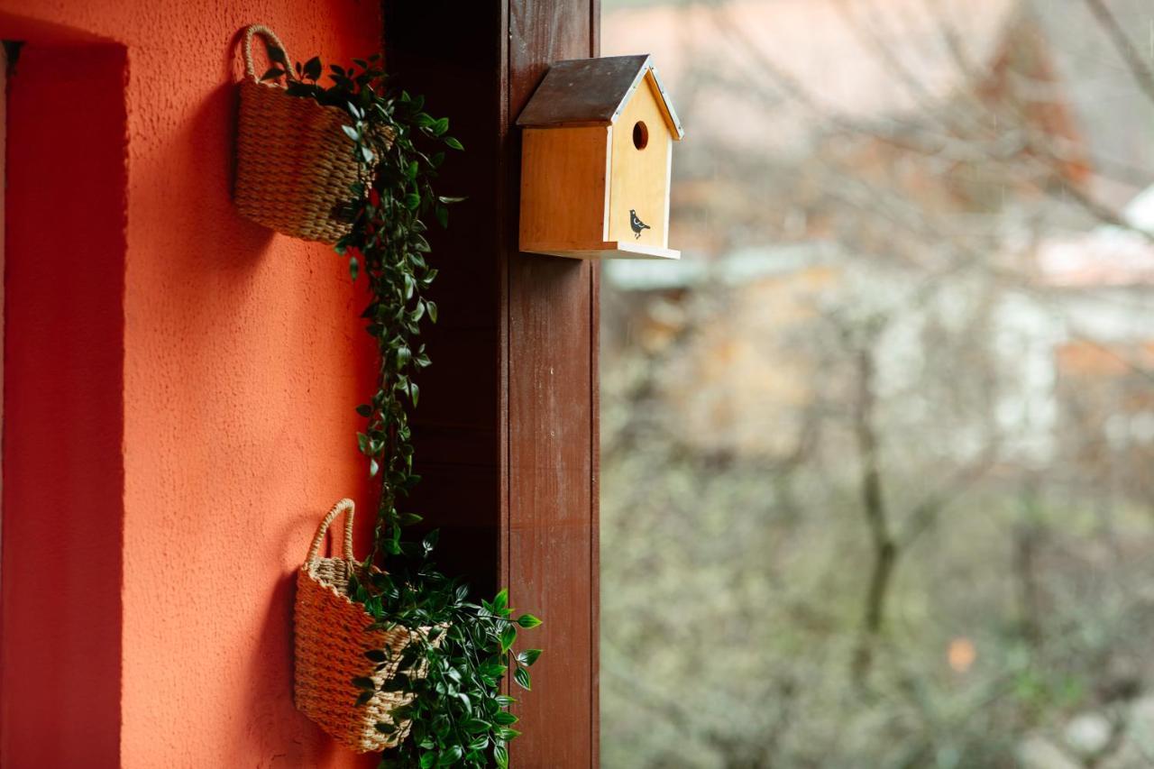 Home & Garden With Stunning View Sinaia Exterior photo